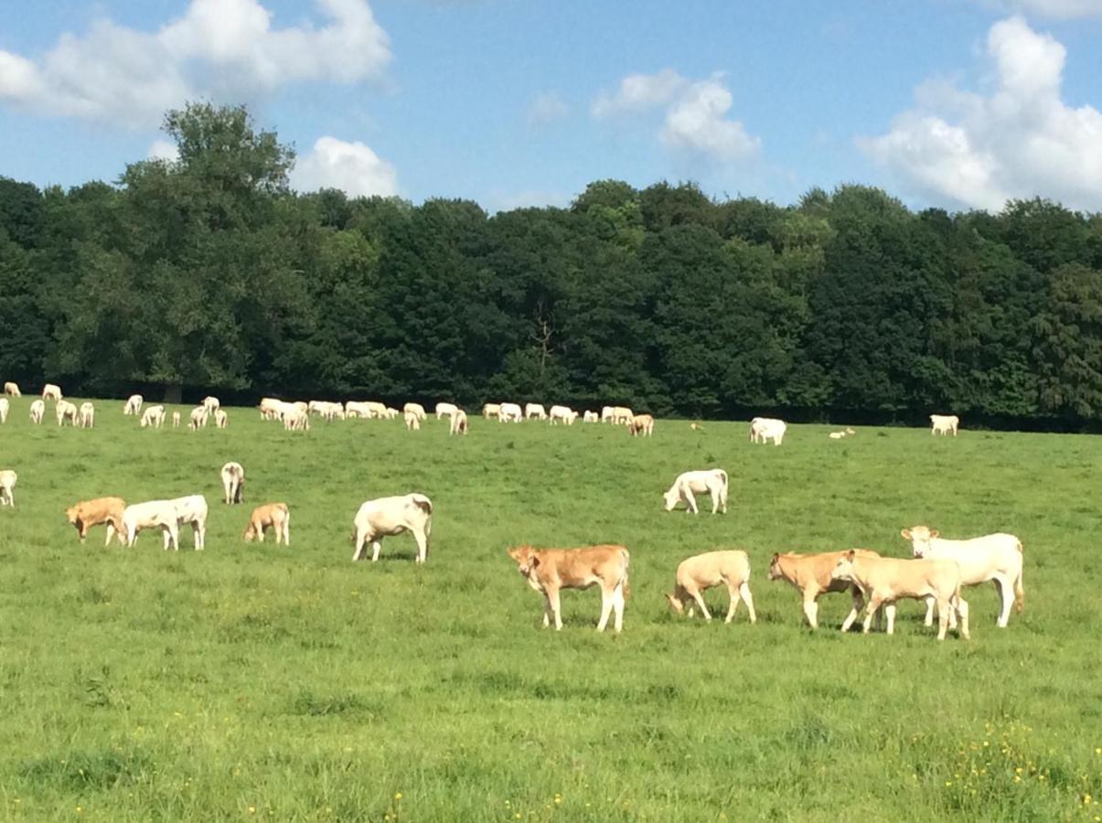 Aux Bois Dores De La Ferme De Sorval, Animaux De La Ferme, Fitness Selvigny Exteriér fotografie
