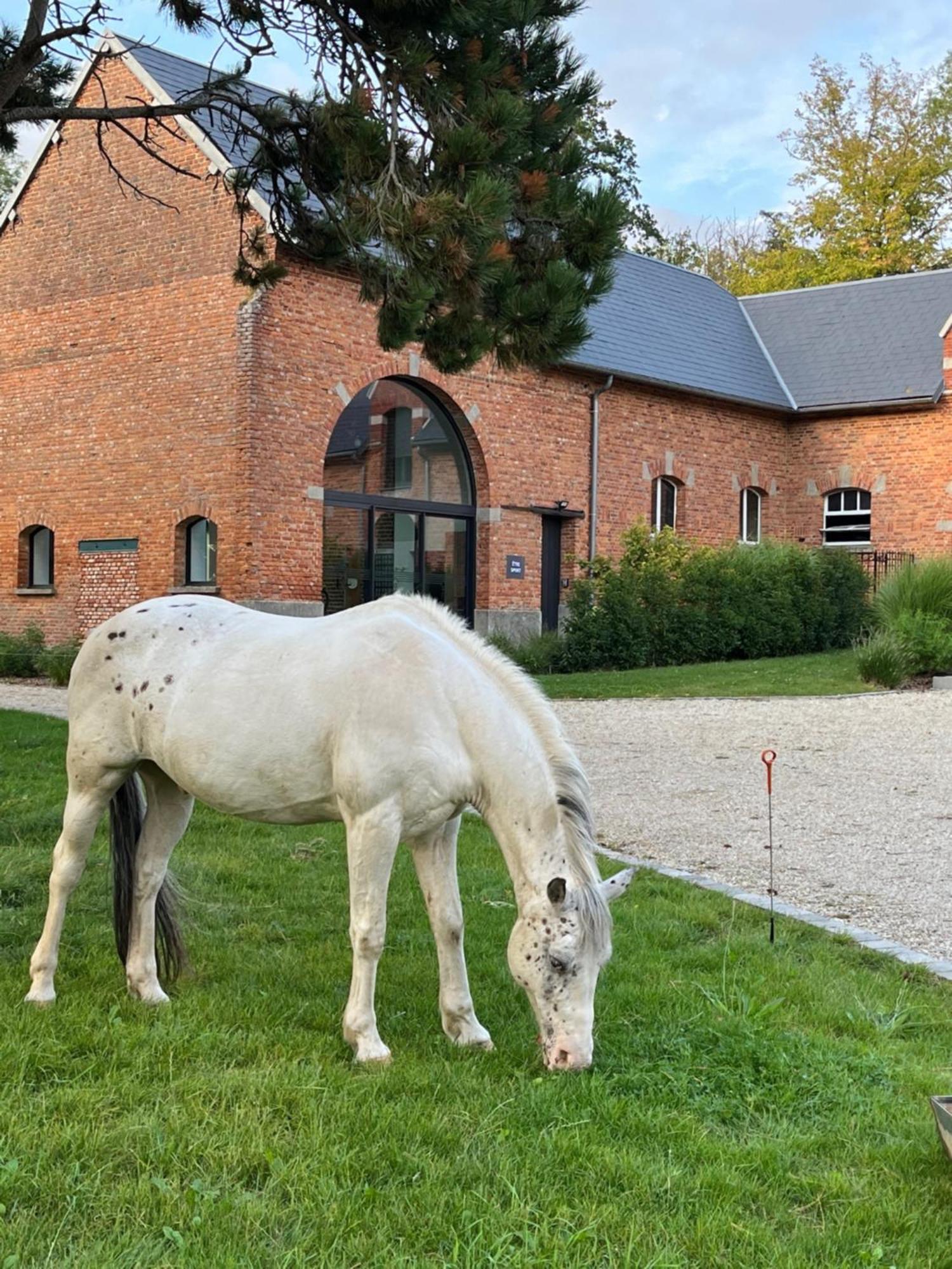 Aux Bois Dores De La Ferme De Sorval, Animaux De La Ferme, Fitness Selvigny Exteriér fotografie